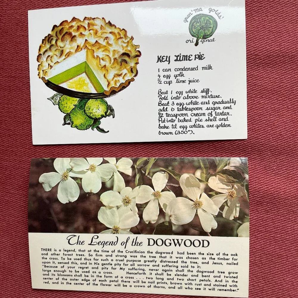 Vintage Lot of 7 Florida Unused Postcards